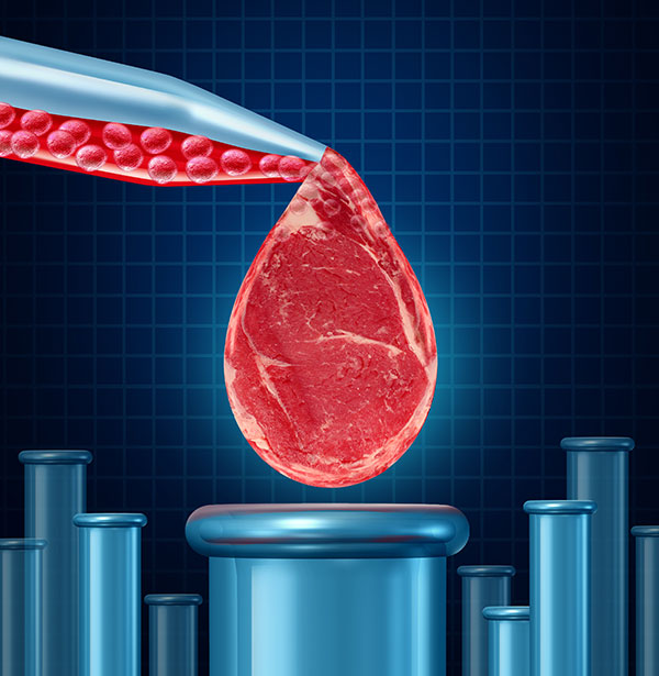 cultured meat future food 2050 2100